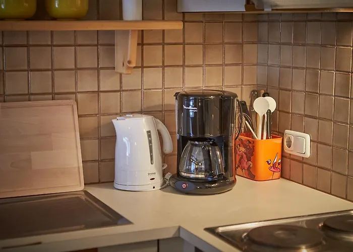 Zwolferkogel By Holidayflats24 잘바흐 힌터글렘